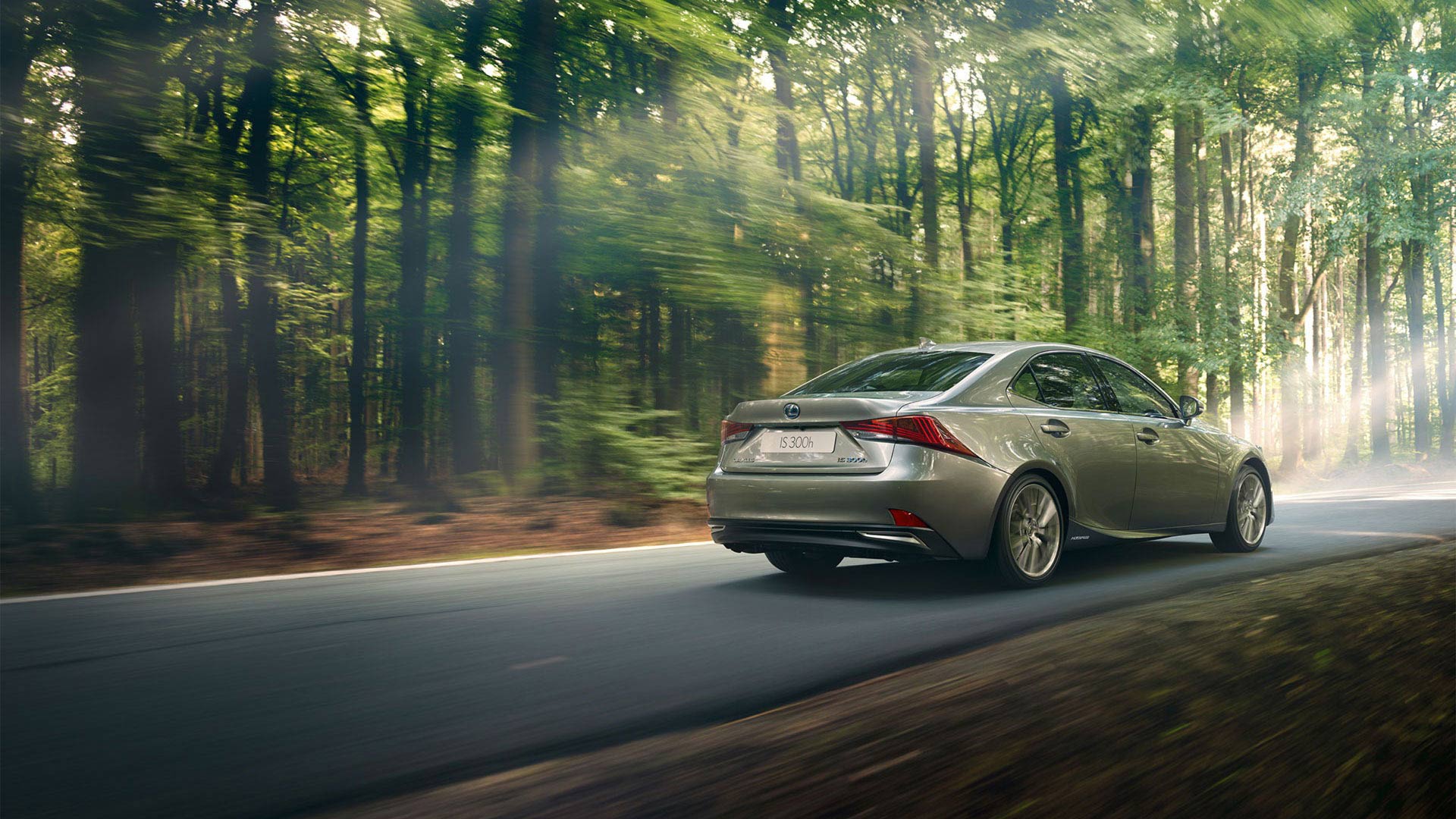 Lexus IS 300h Hybrid 2019 grau Seitenansicht