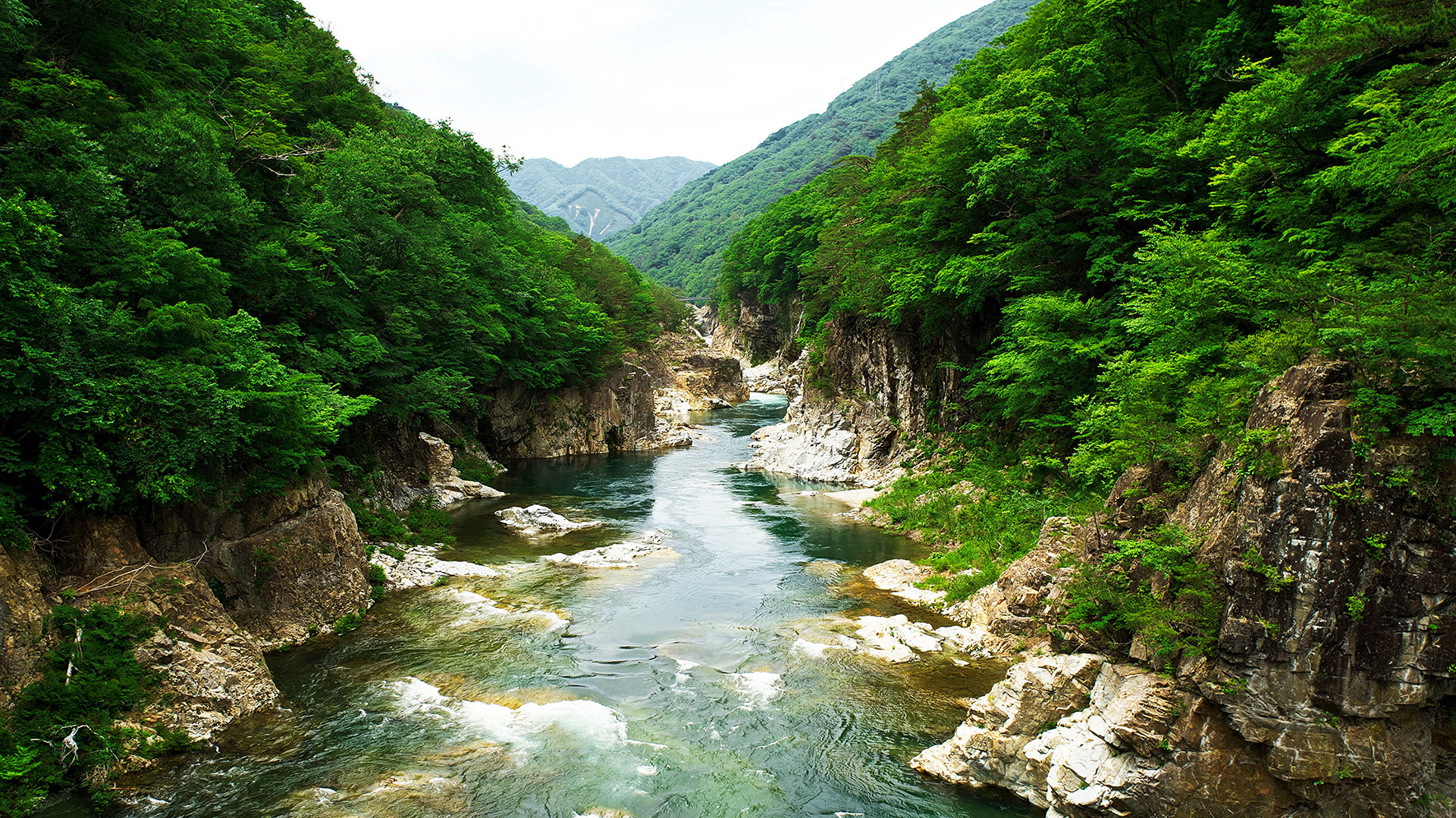 Parque Nikko hero asset