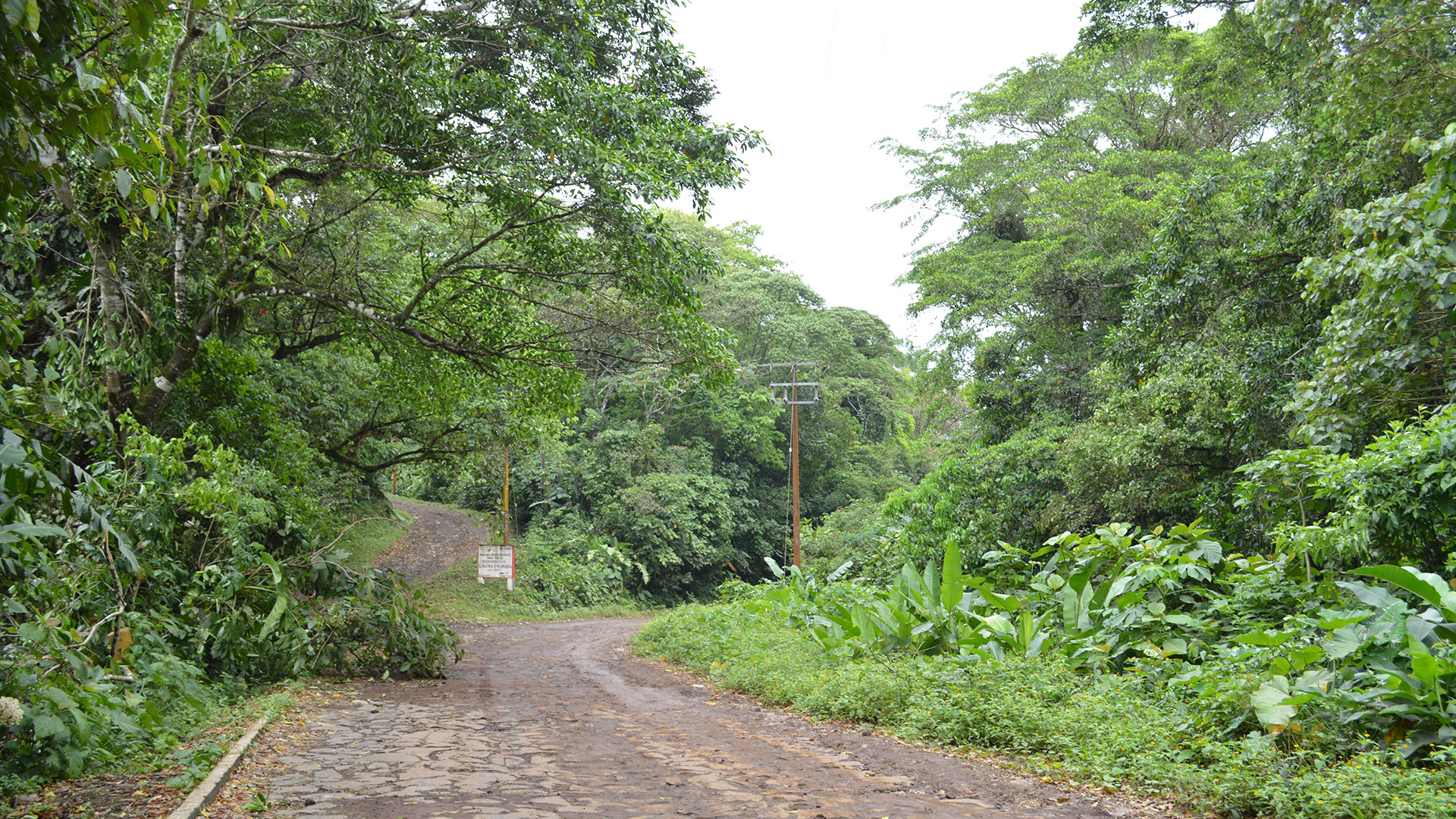 Los Tuxtlas hero asset