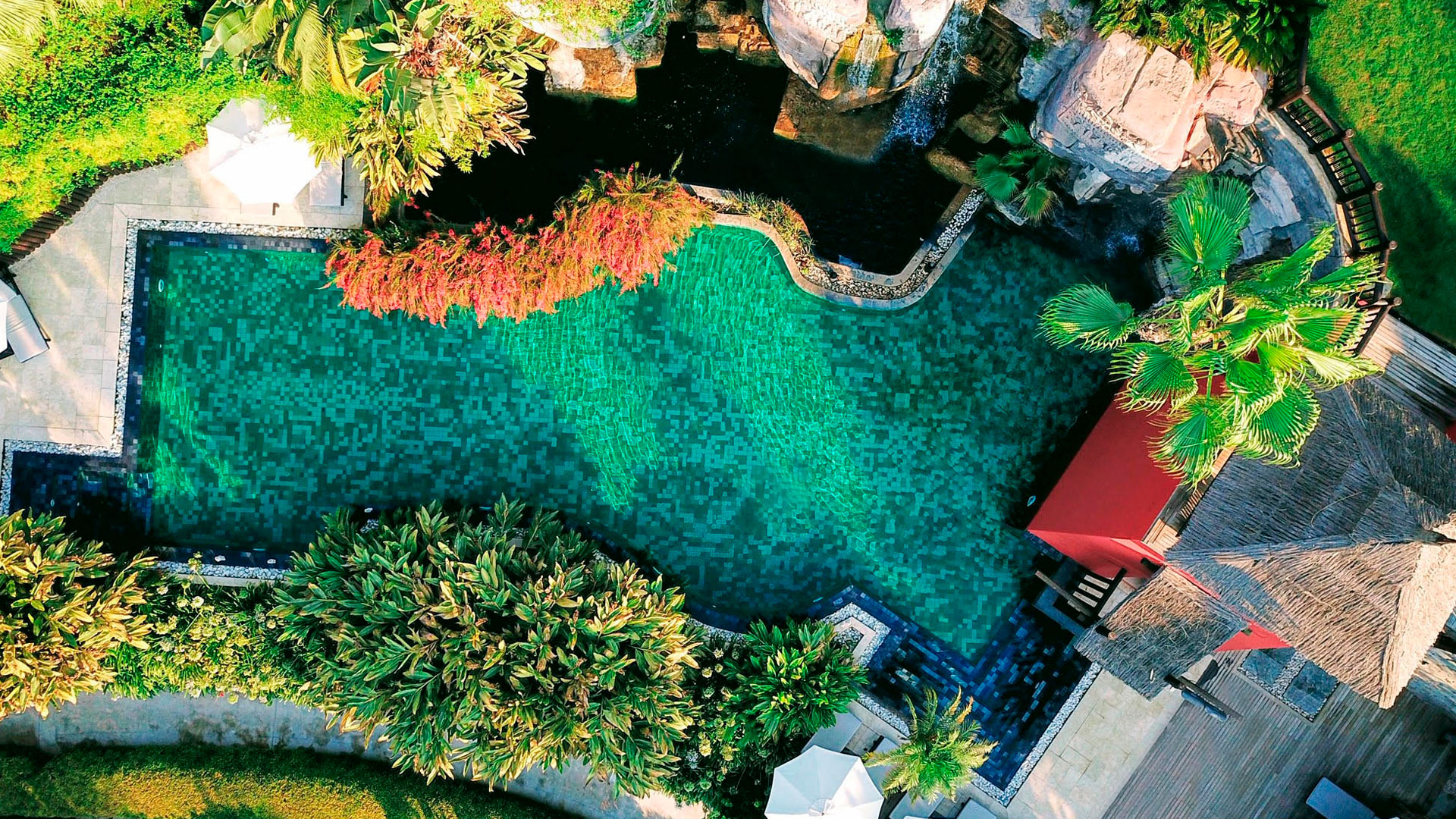 Paraíso asiático hero asset