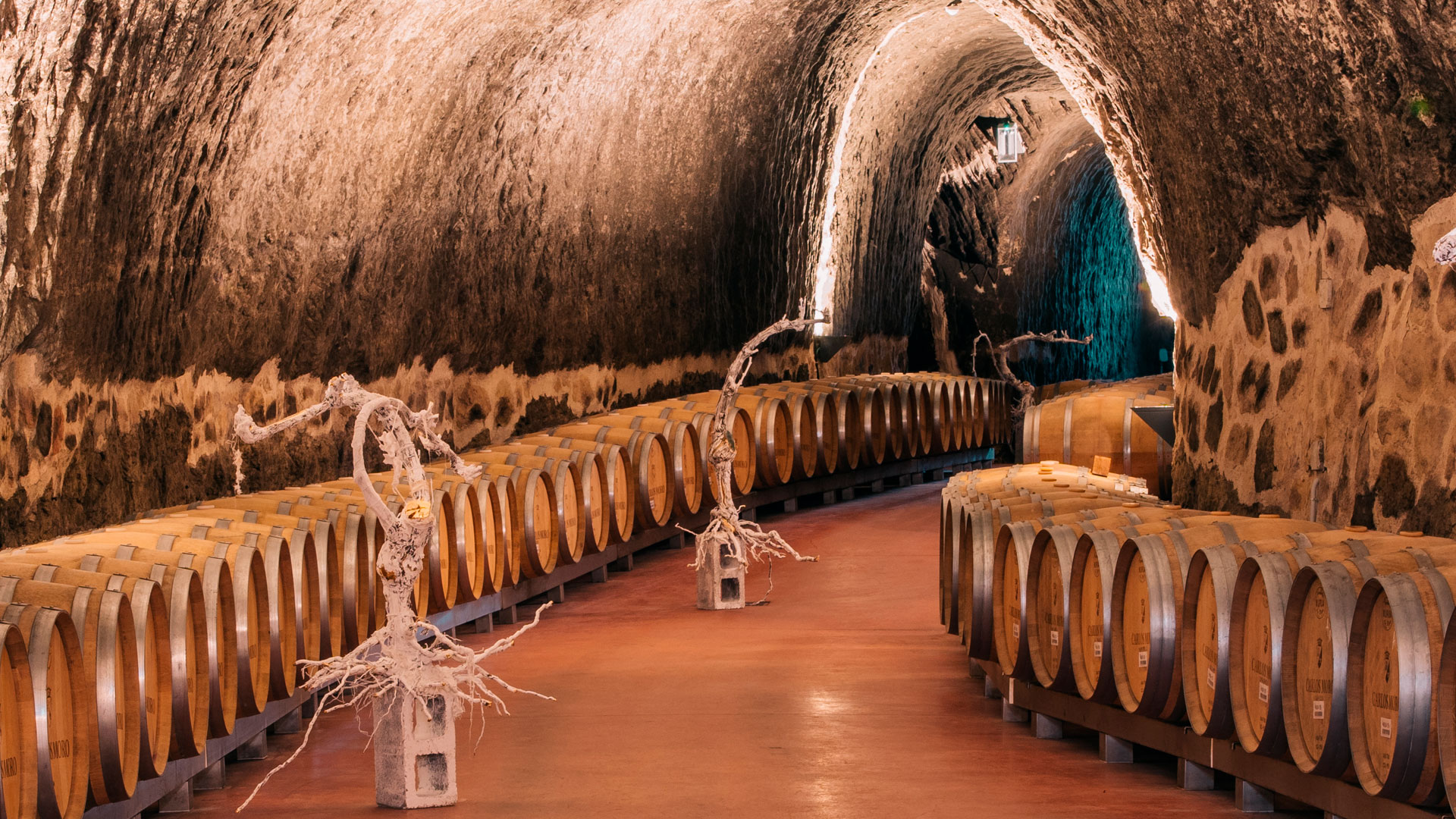 Imagen del interior de la Bodega Carlos Moro