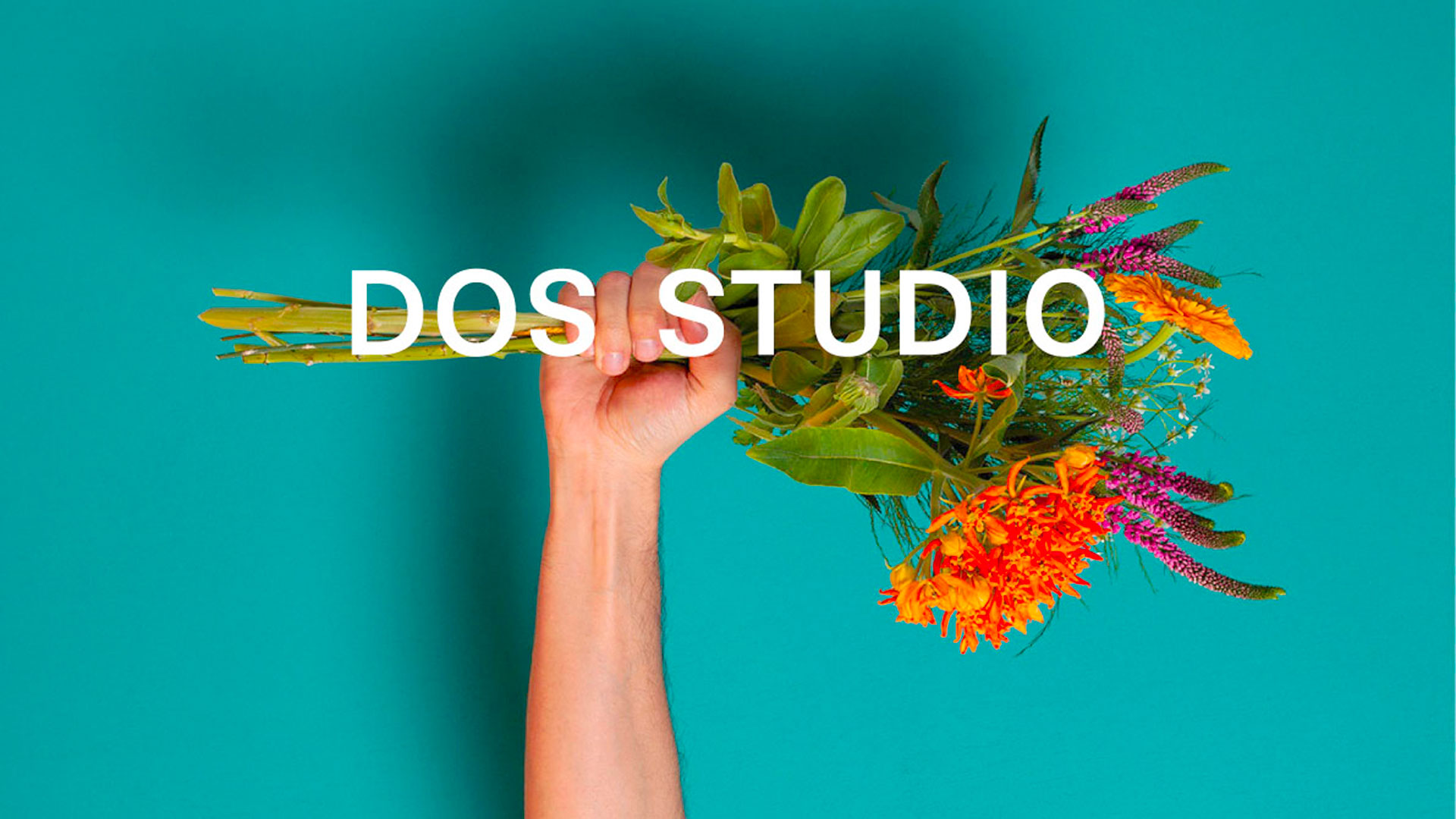 Imagen de la colección de moda Dos Studio