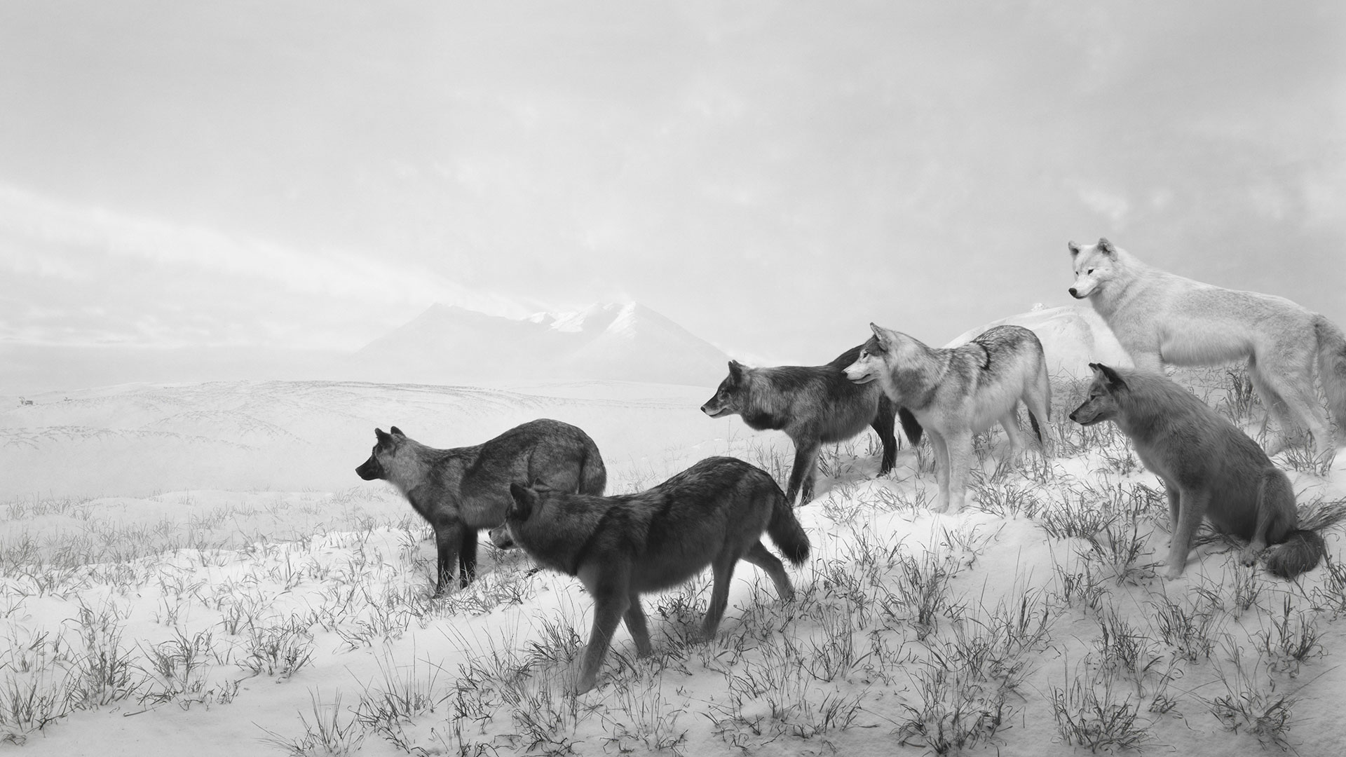 Hiroshi Sugimoto hero asset