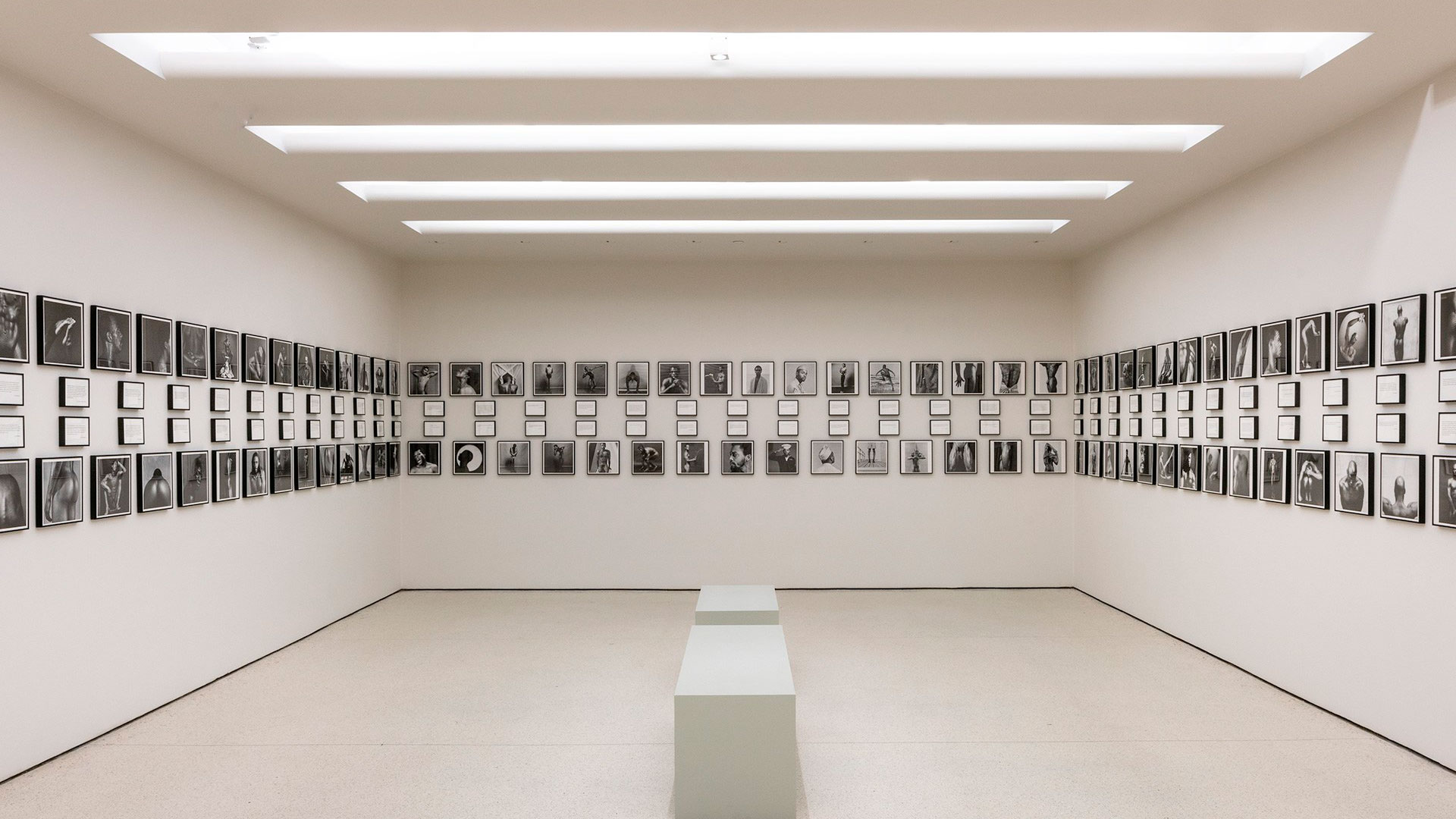 Imagen de la exposición Mapplethorpe Now