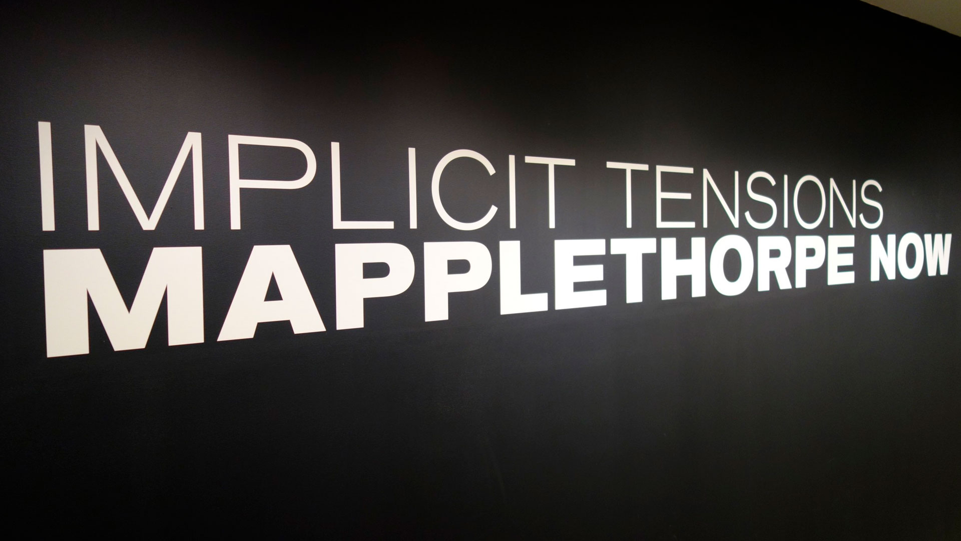 Imagen de la exposición Mapplethorpe Now
