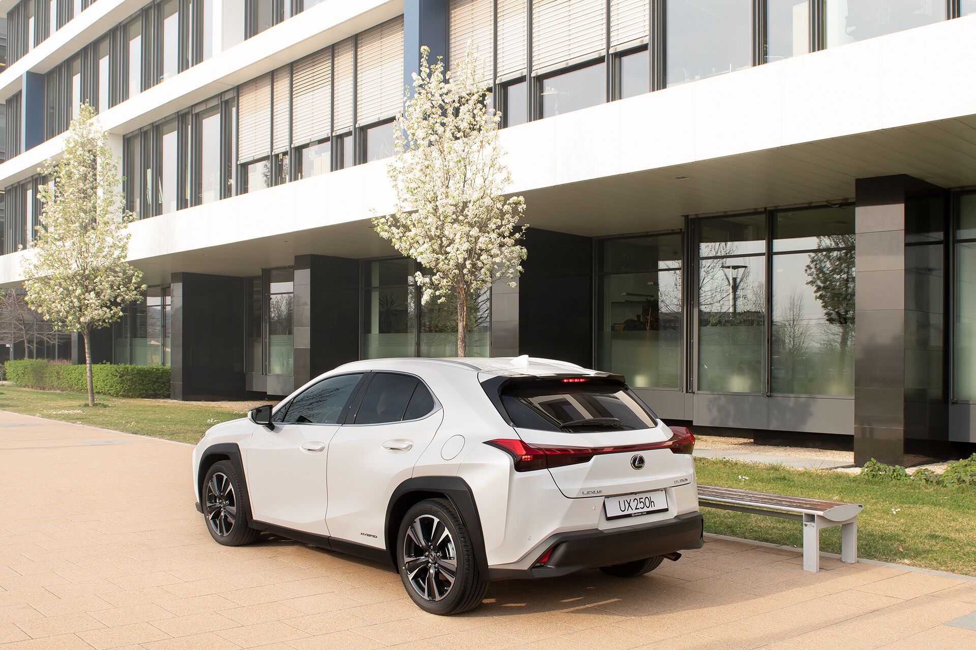Weisz Fanni Lexus UX 3