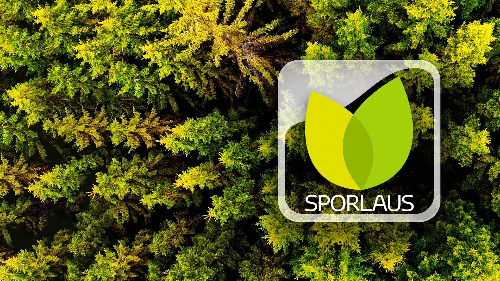 Sporlaus 1920x1080 03