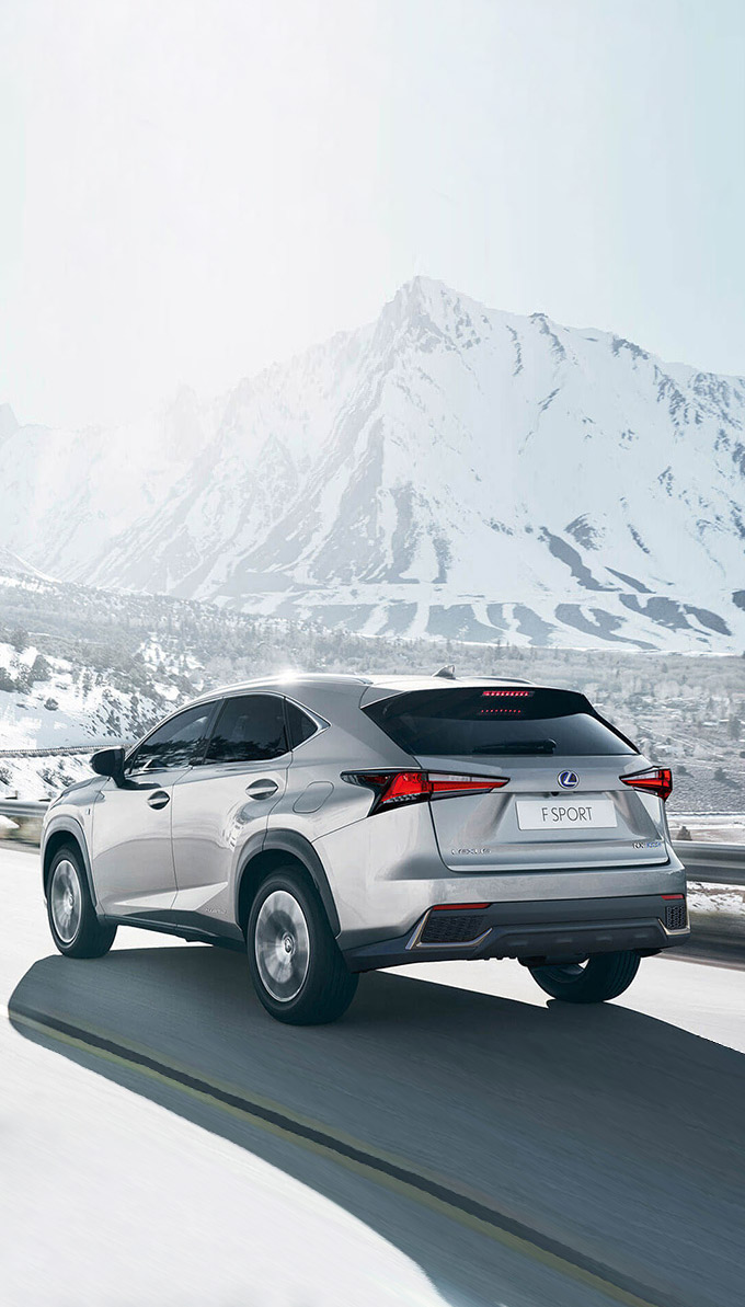 NX Hybrid manutenzione pneumatici
